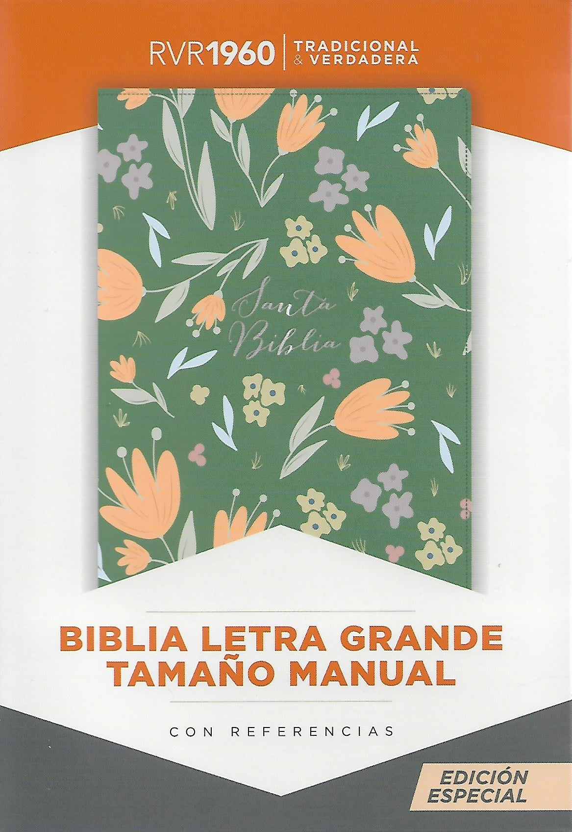 Biblia RVR1960 letra grande verde