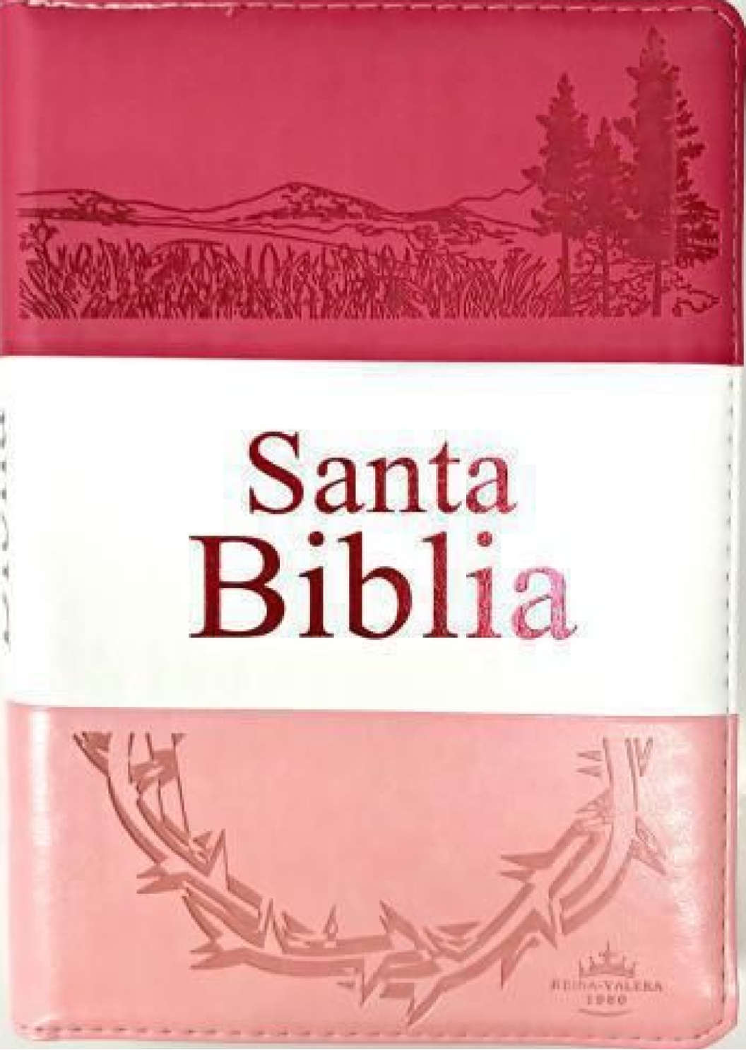 Biblia RVR60 Fucsia/Rosa Pastel Cierre Indice