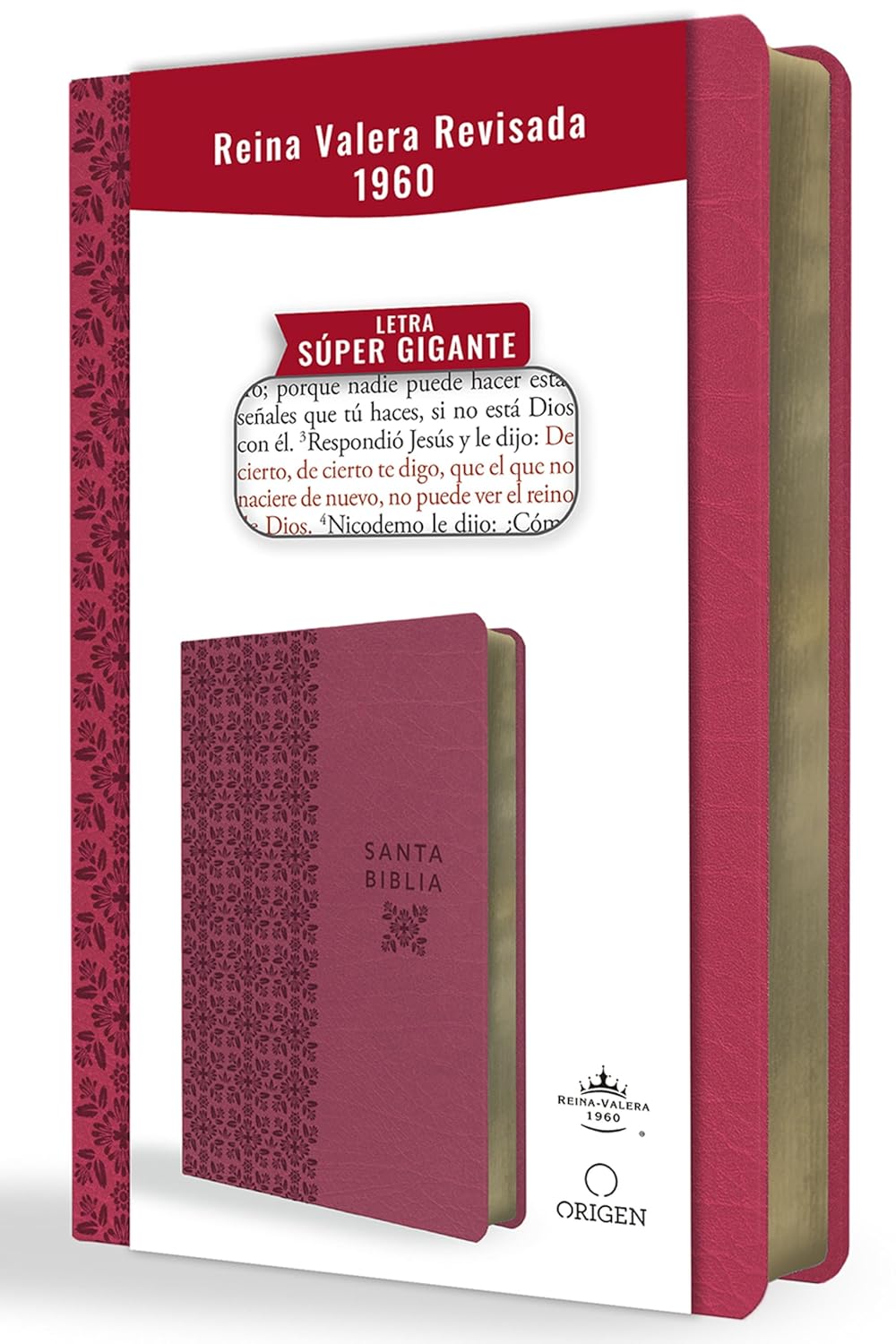 Biblia Reina Valera Revisada 1960 letra súper gigante, símil piel fucsia rosad