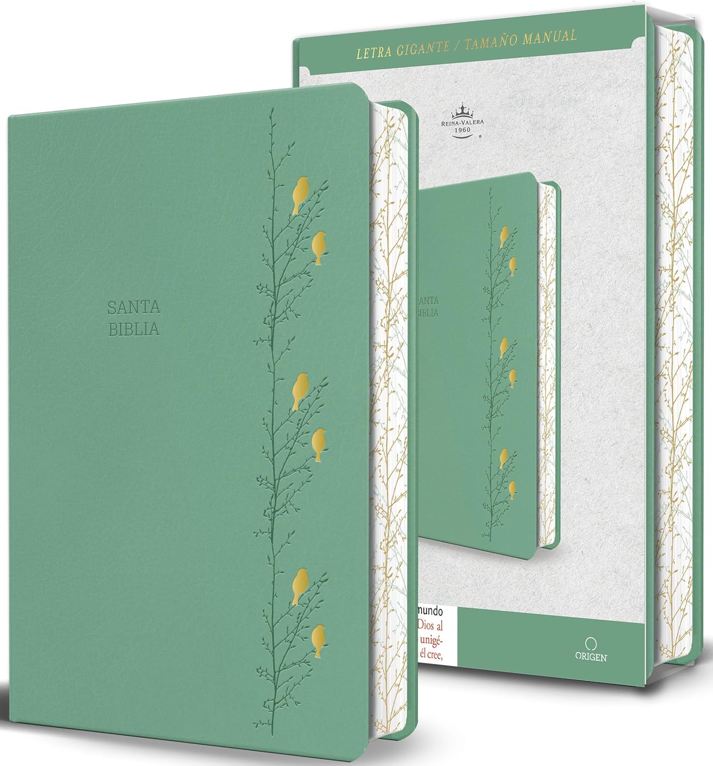 Biblia RVR1960 Letra gigante verde con pajaros