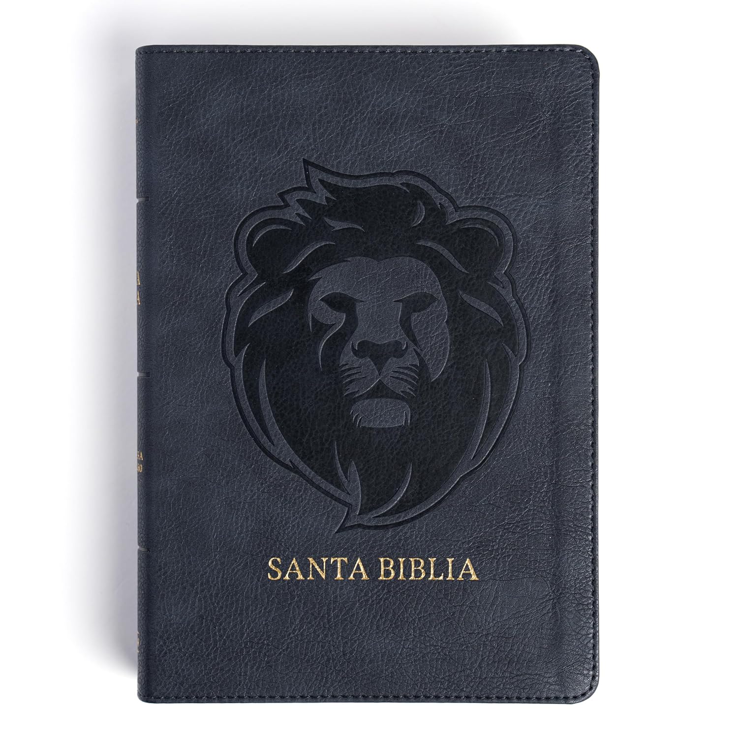 Biblia RVR1960 letra grande ceniza leon