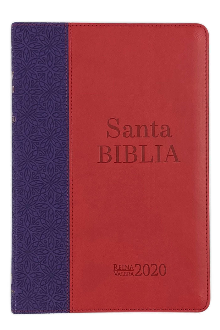 Biblia RVR2020 Ultrafina imit piel