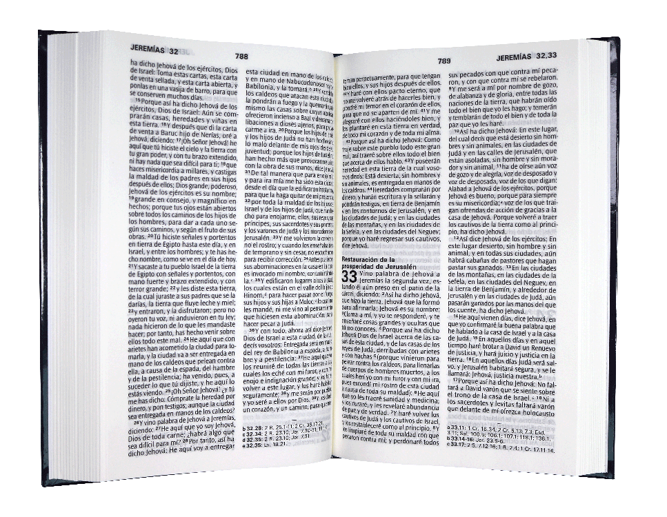 Biblia RVR60 letra grande azul TD