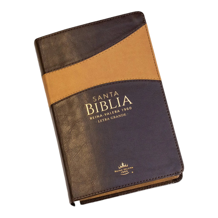 Biblia RVR60 Clasica bitono café/café