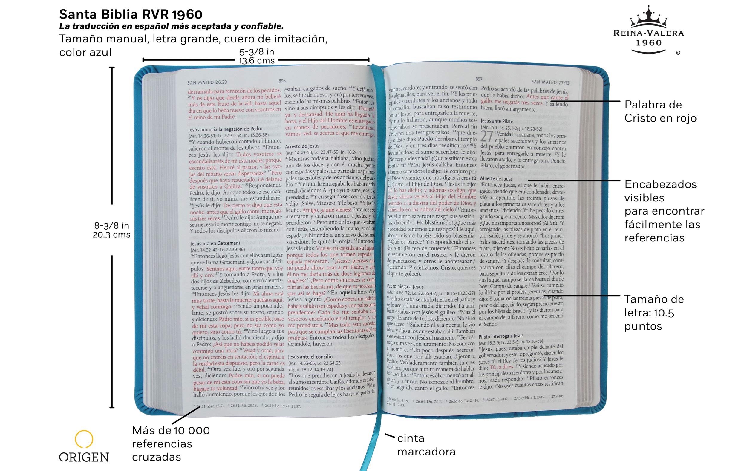Biblia RVR1960 Aquamarina - Librería Libros Cristianos - Biblia