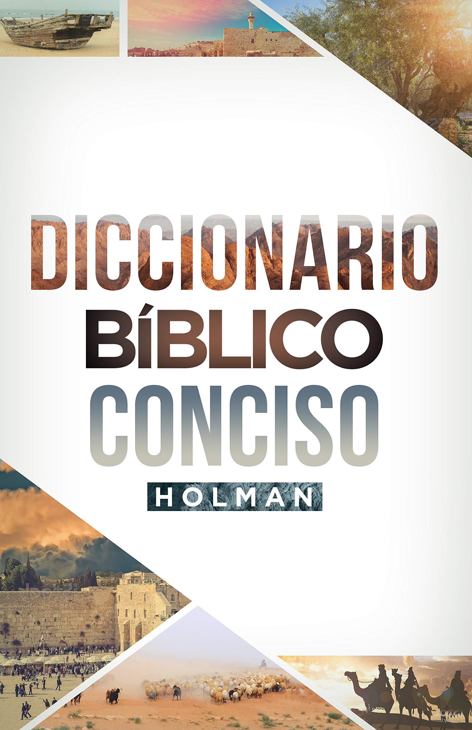 Diccionario Biblico Conciso Holman-Nueva edición - Librería Libros Cristianos - Libro