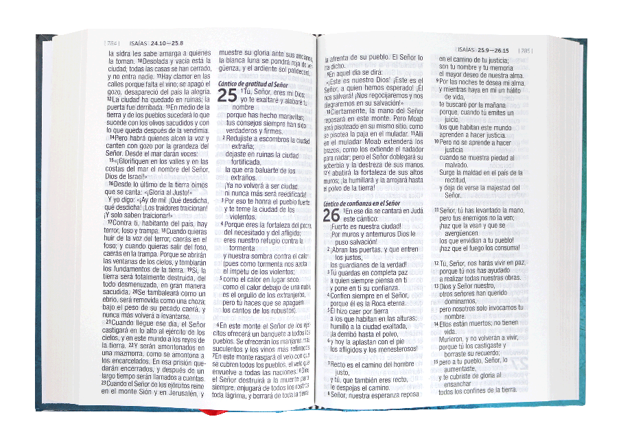 Biblia RVC mediana tapa dura letra grande - Librería Libros Cristianos - Biblia