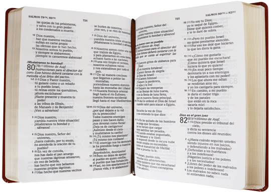 Biblia TLA letra gigante imit marrón - Librería Libros Cristianos - Libro