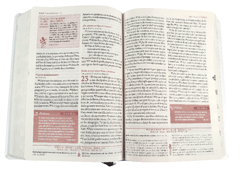 Biblia de Estudio RVR60 Ser Mujer - Librería Libros Cristianos - Biblia
