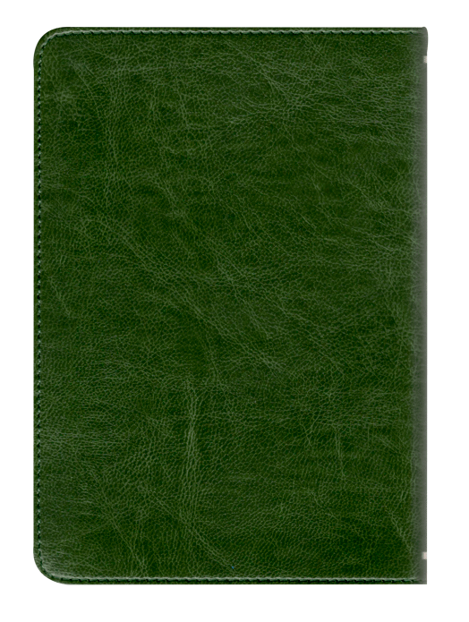 Biblia RVR60 Verde con león - Librería Libros Cristianos - Biblia
