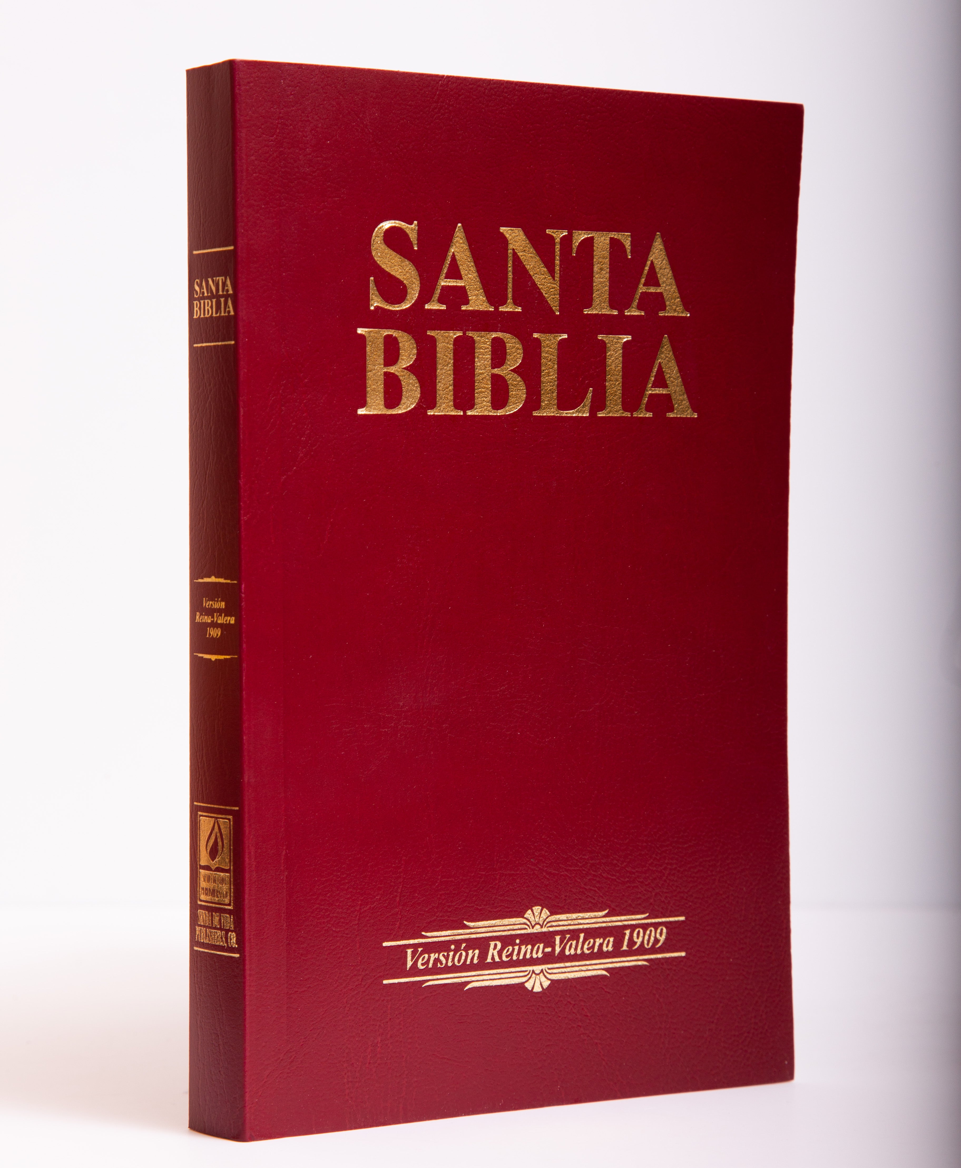 Biblia Económica Marrón RVR09 - Librería Libros Cristianos - Biblia