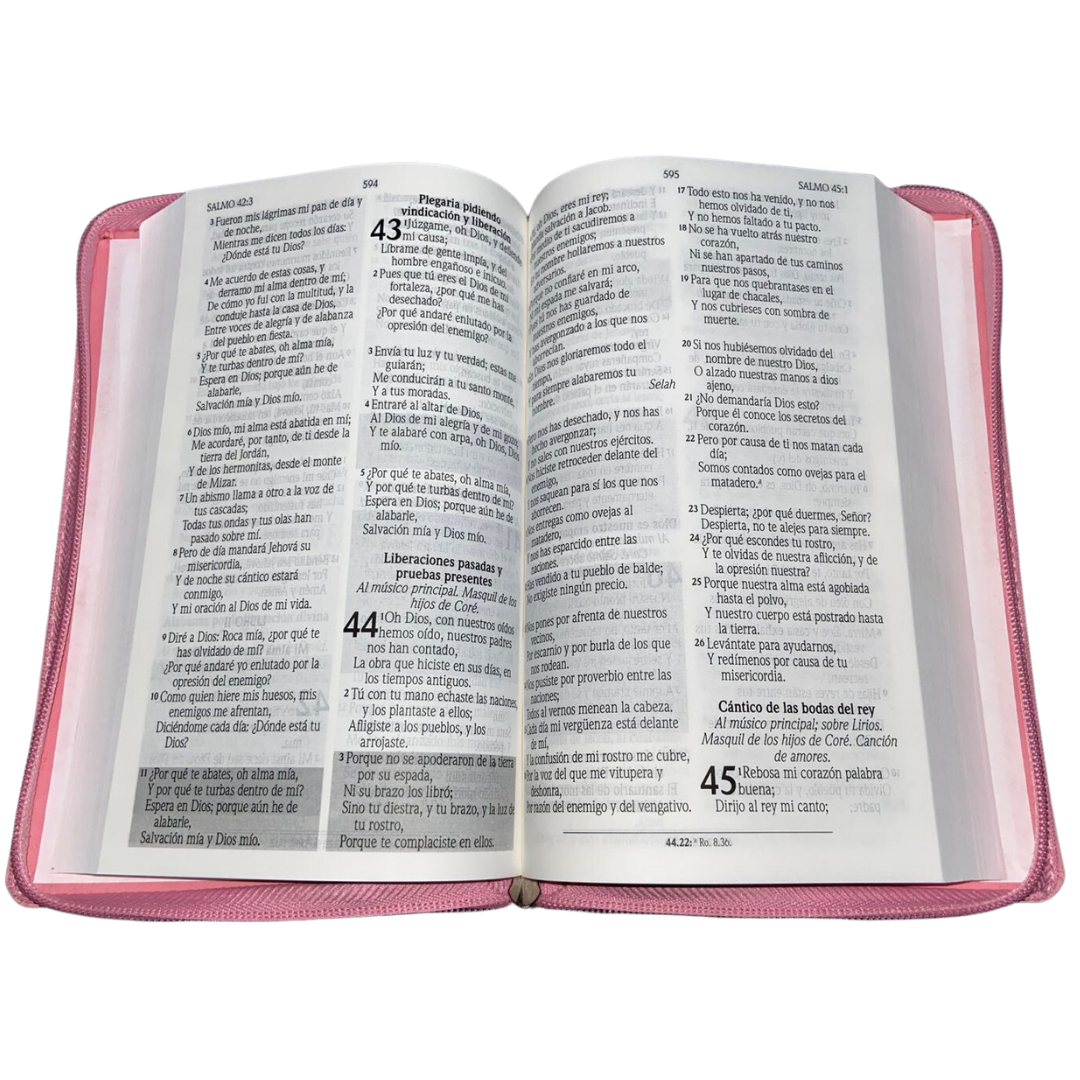 Biblia RV1960 XV años promesas letra grande