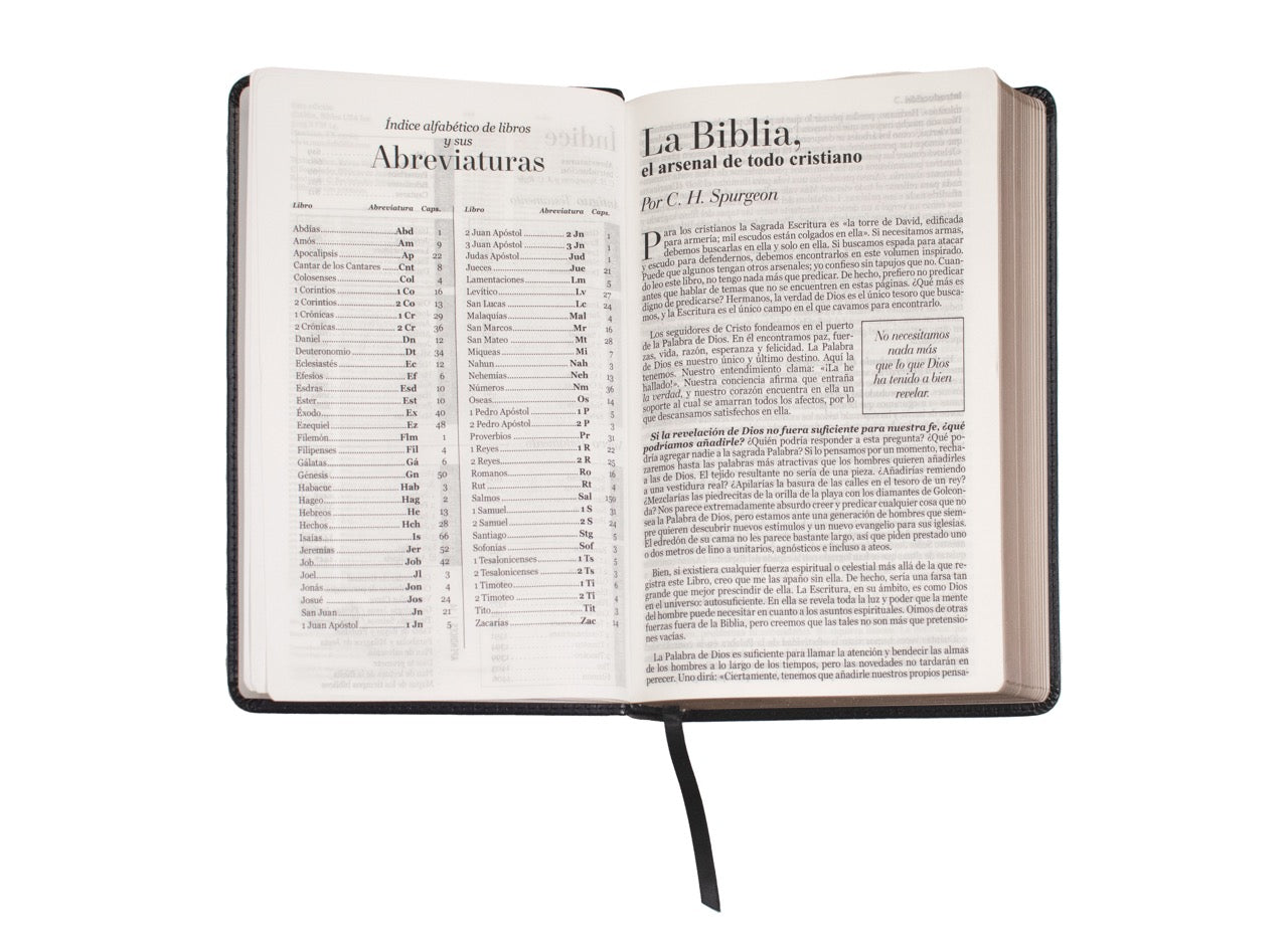 Biblia RVR1960 Clasica negra