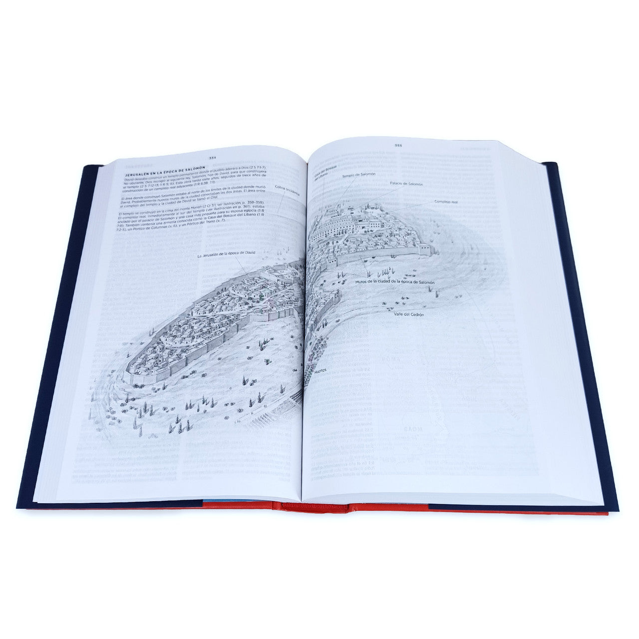 Biblia RVR60 de Estudio Concisa