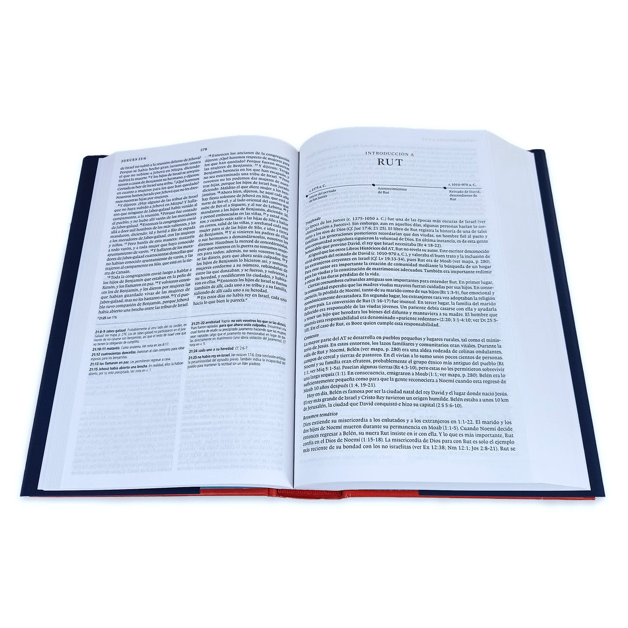 Biblia RVR60 de Estudio Concisa