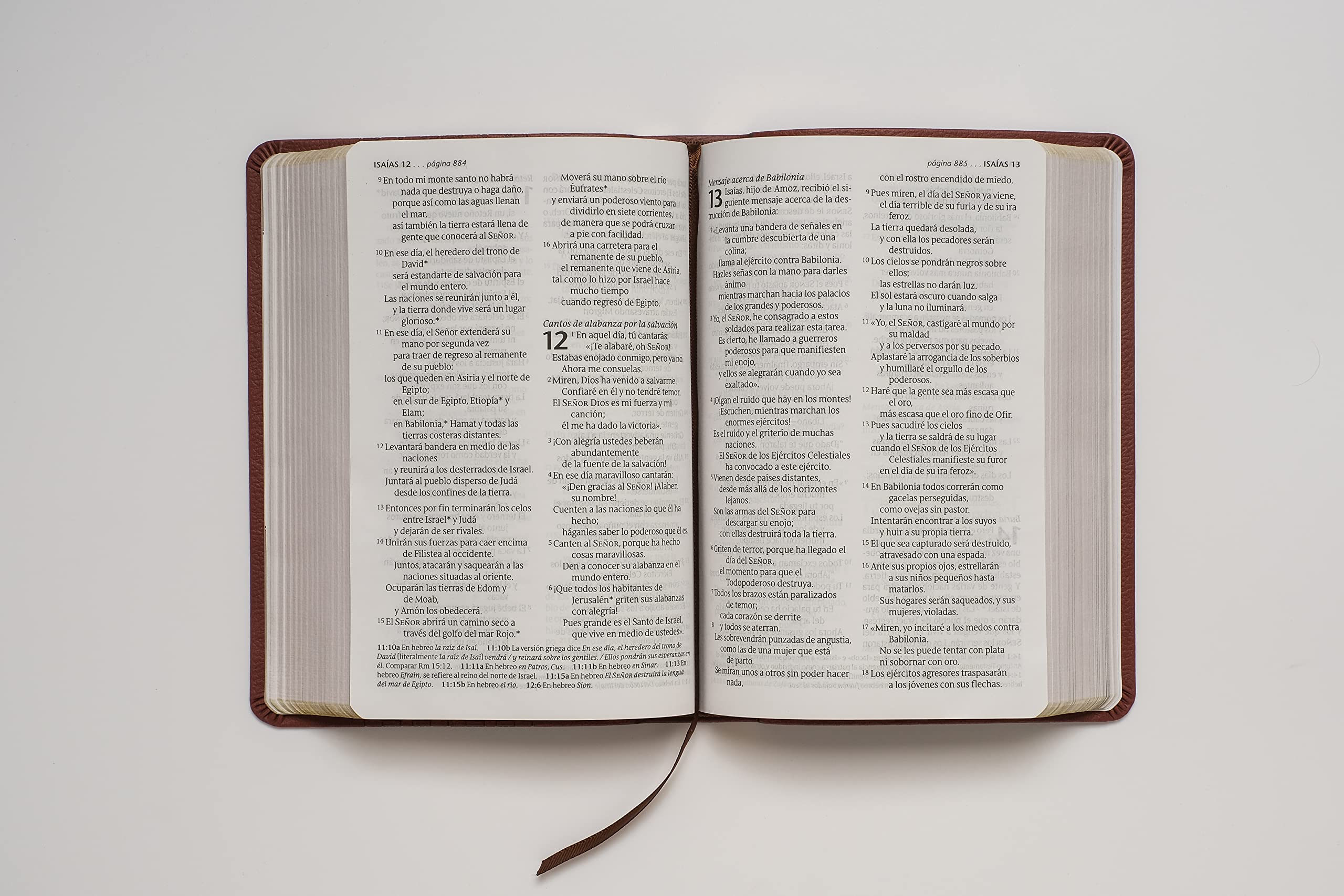 Biblia NTV Edicion compacta cafe LG