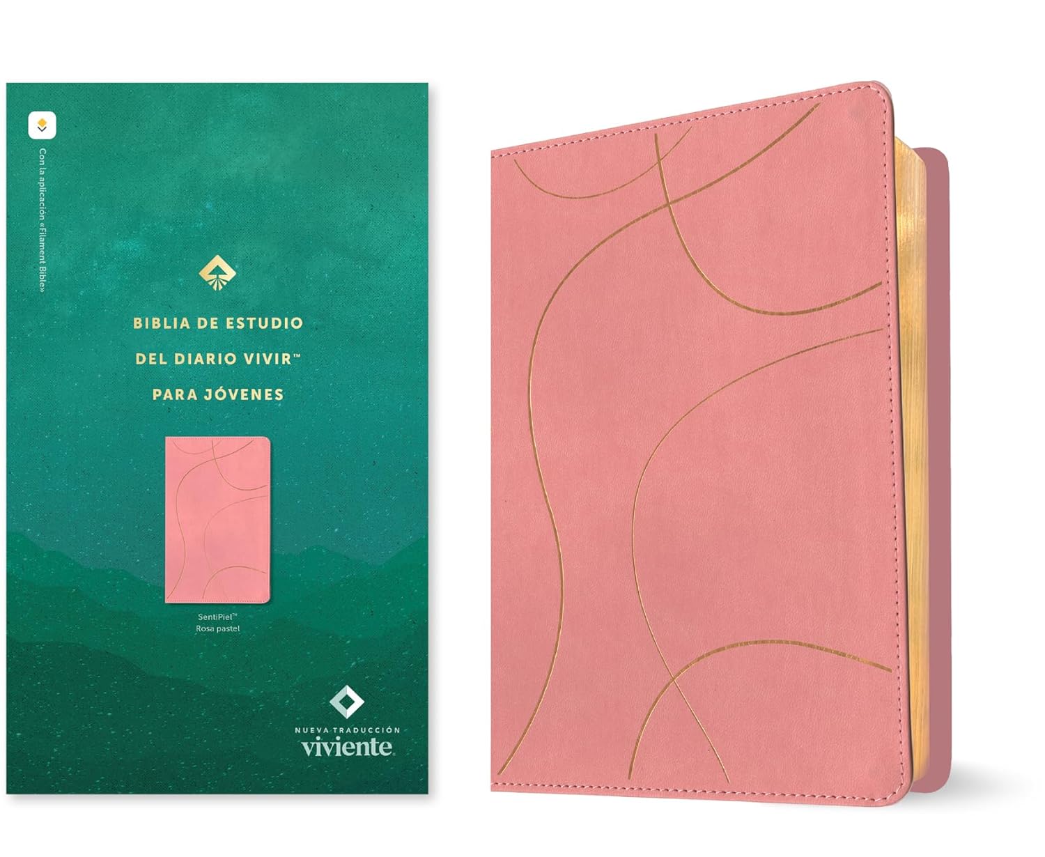 Biblia NTV Estudio del diario vivir para jóvenes rosa
