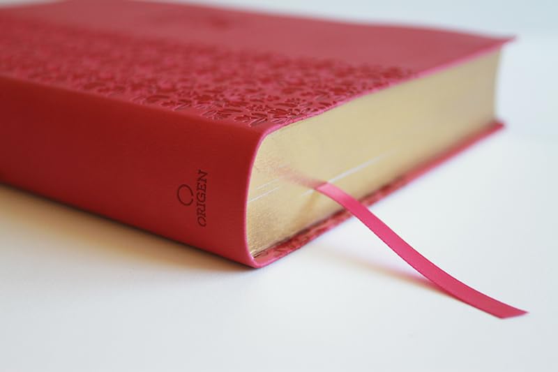 Biblia Reina Valera Revisada 1960 letra súper gigante, símil piel fucsia rosad