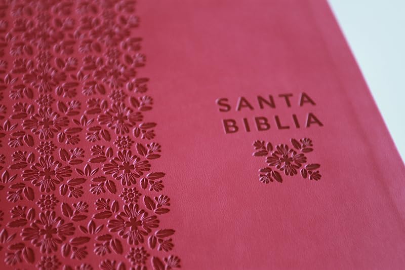Biblia Reina Valera Revisada 1960 letra súper gigante, símil piel fucsia rosad
