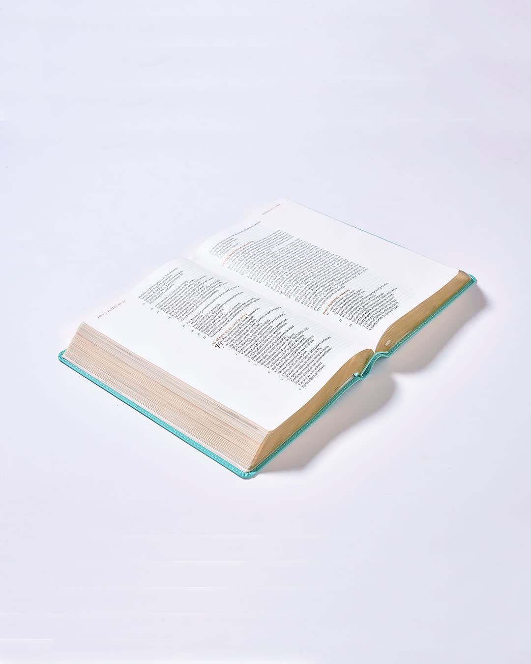 Biblia NBLA Ama a Dios grandemente turquesa