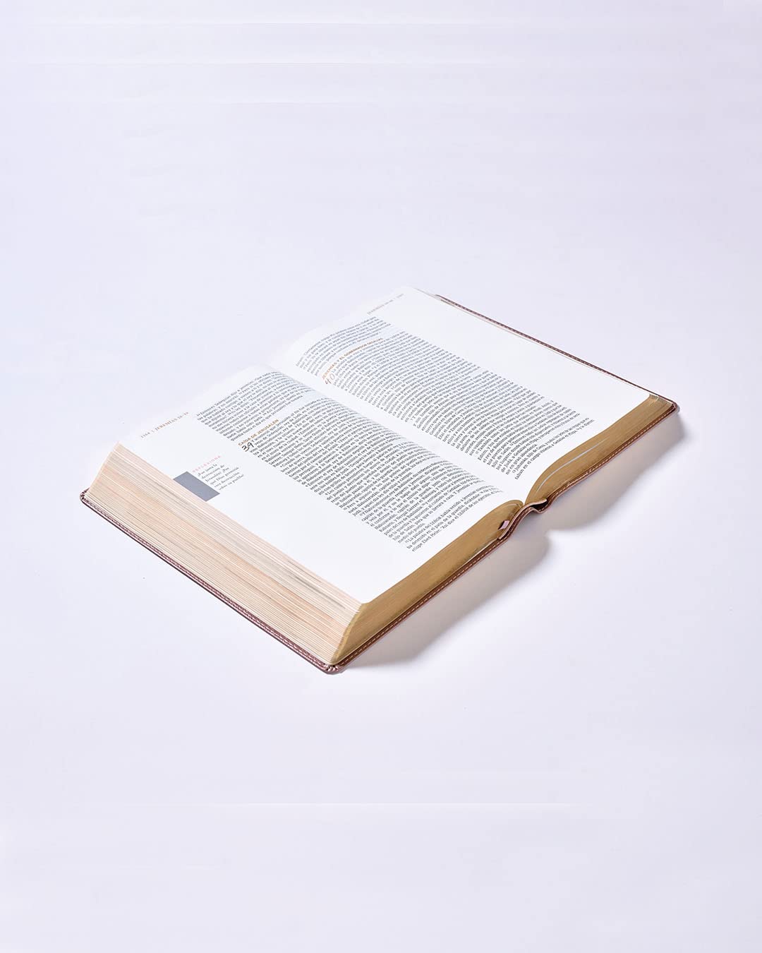 Biblia NBLA Ama a Dios grandemente Oro rosa