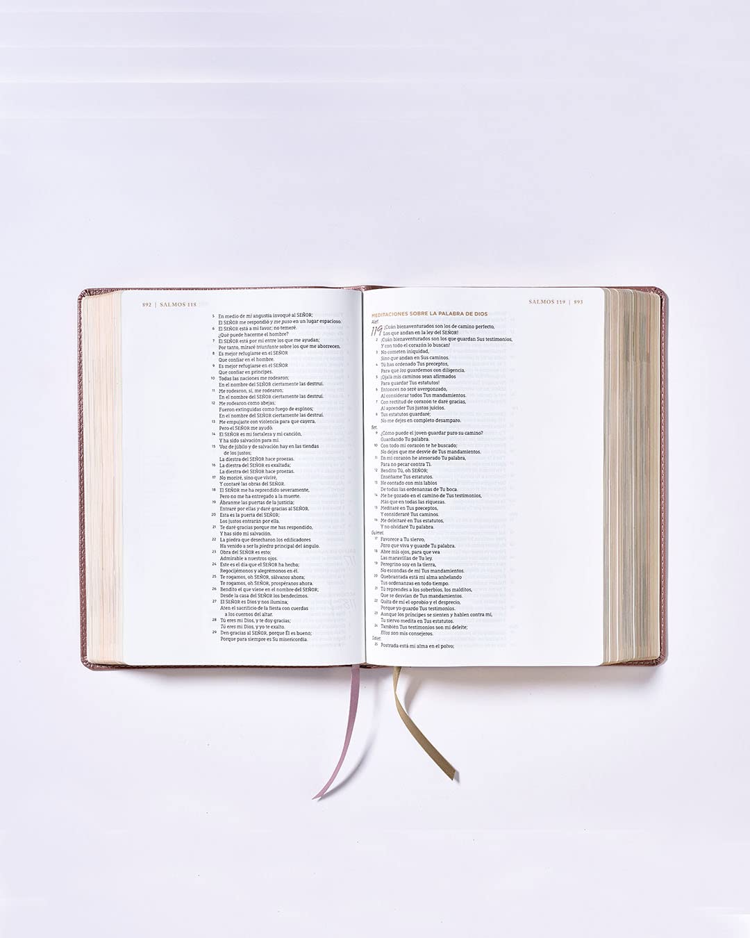 Biblia NBLA Ama a Dios grandemente Oro rosa