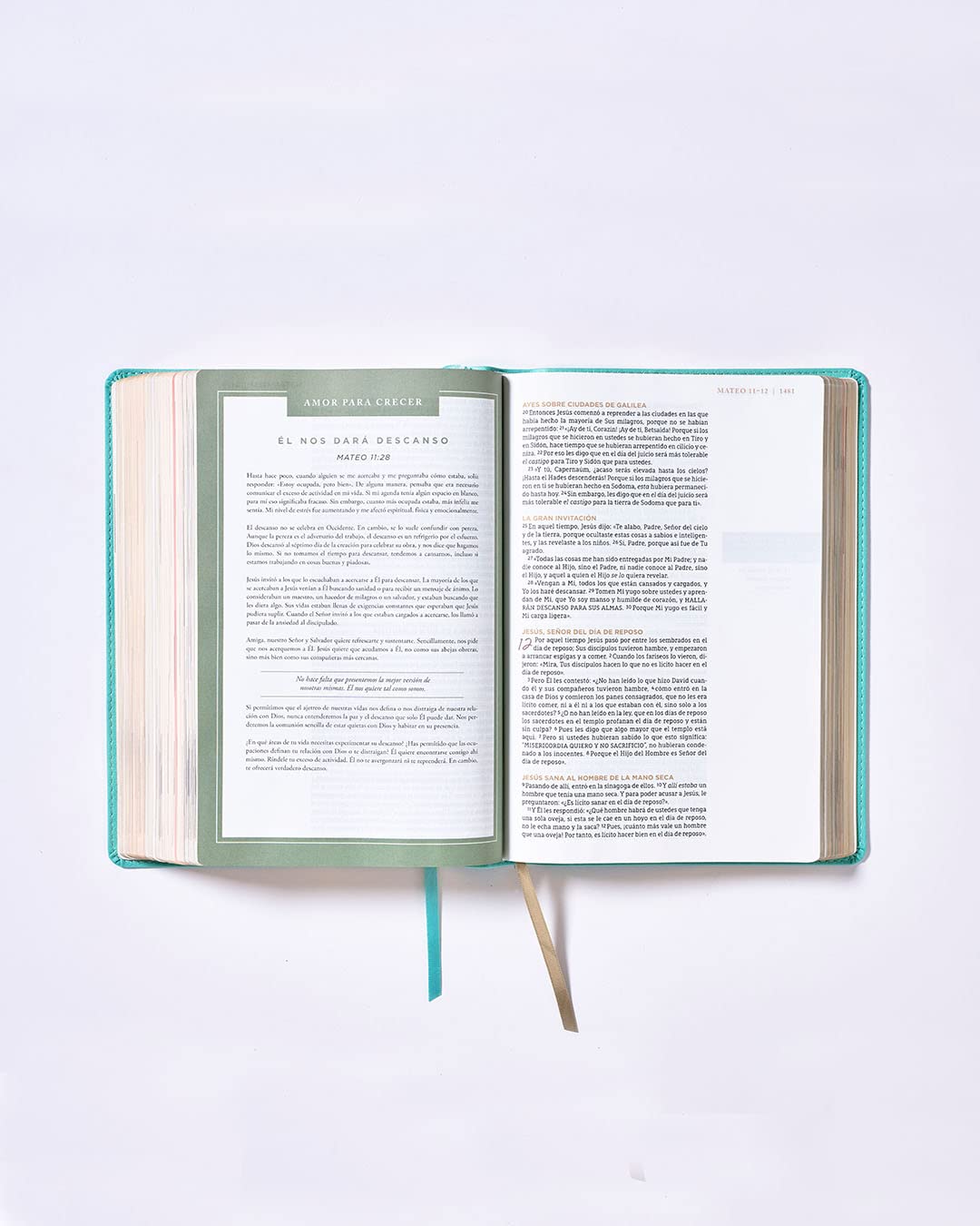Biblia NBLA Ama a Dios grandemente turquesa
