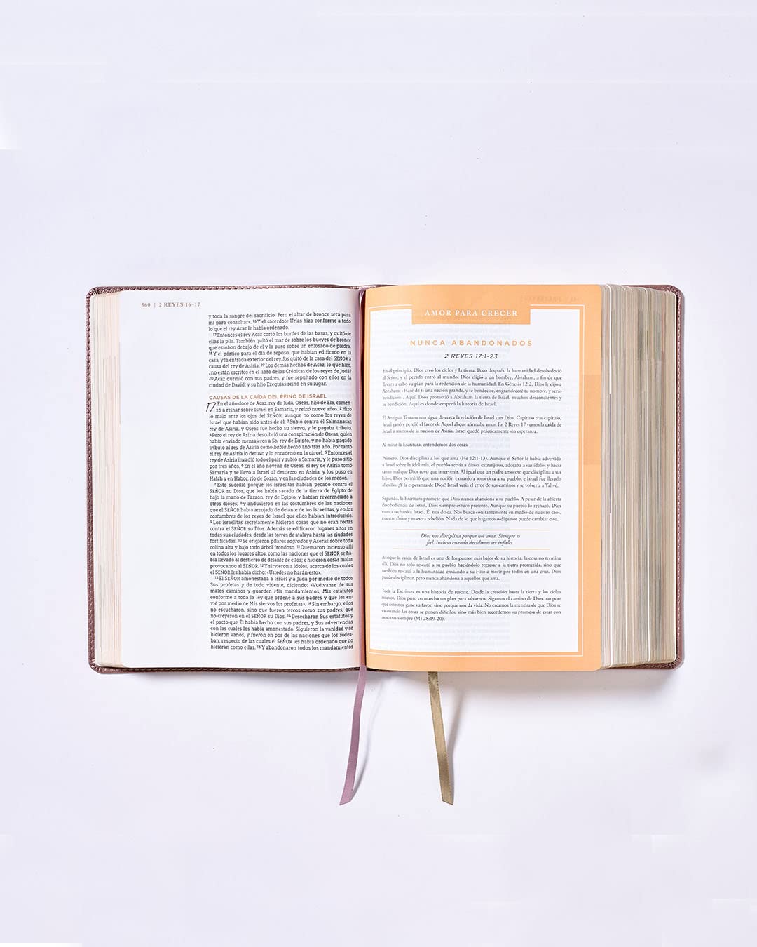 Biblia NBLA Ama a Dios grandemente Oro rosa