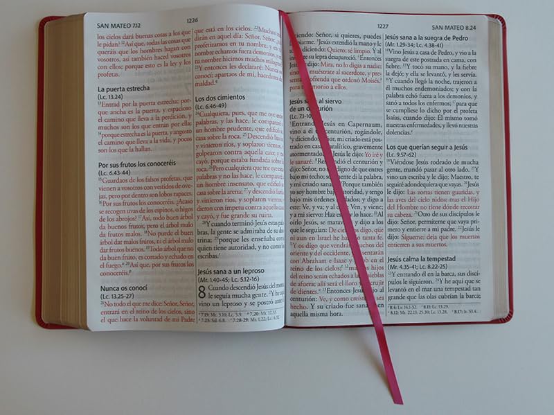 Biblia Reina Valera Revisada 1960 letra súper gigante, símil piel fucsia rosad