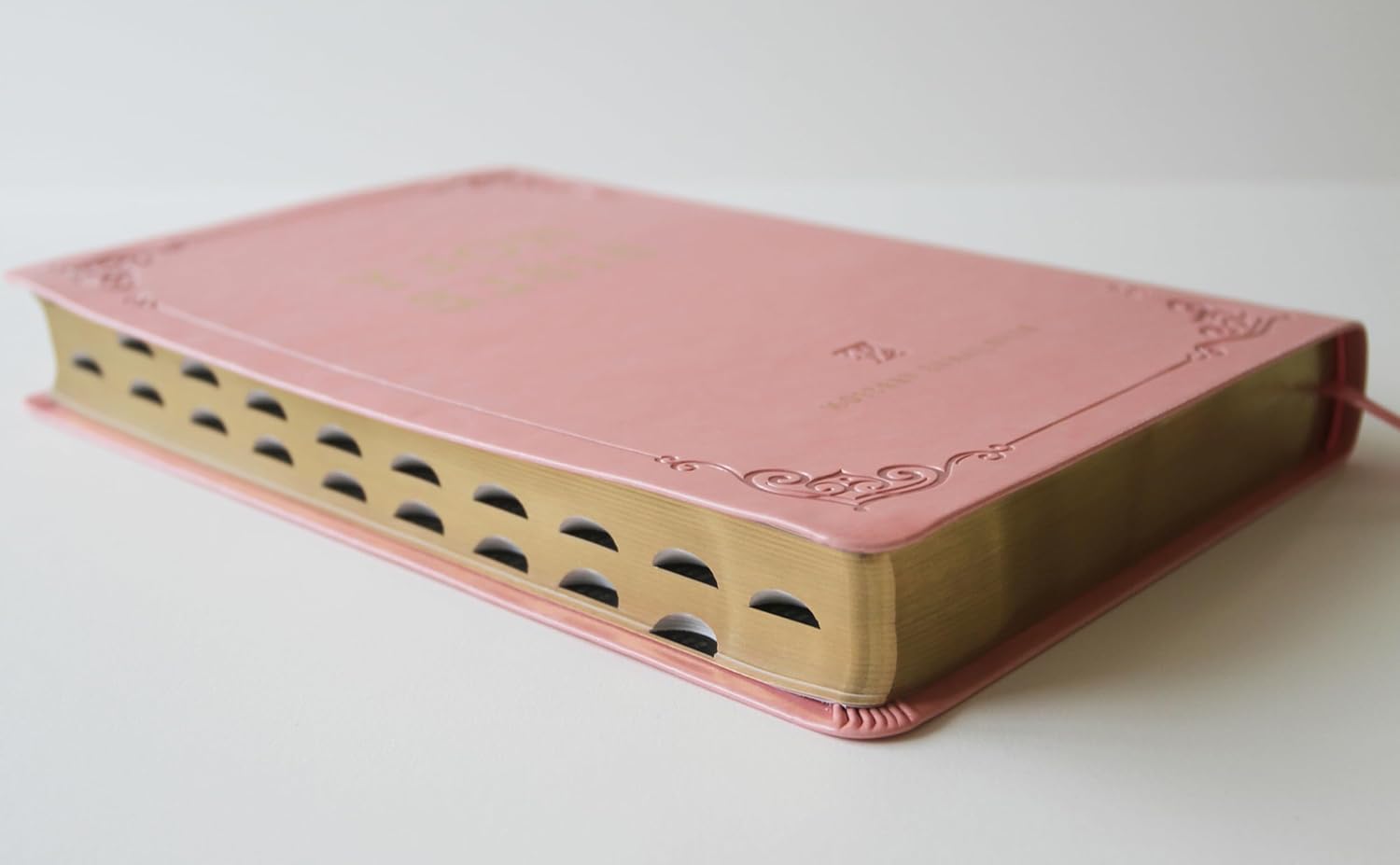 Bible KJV letra gigante rosa