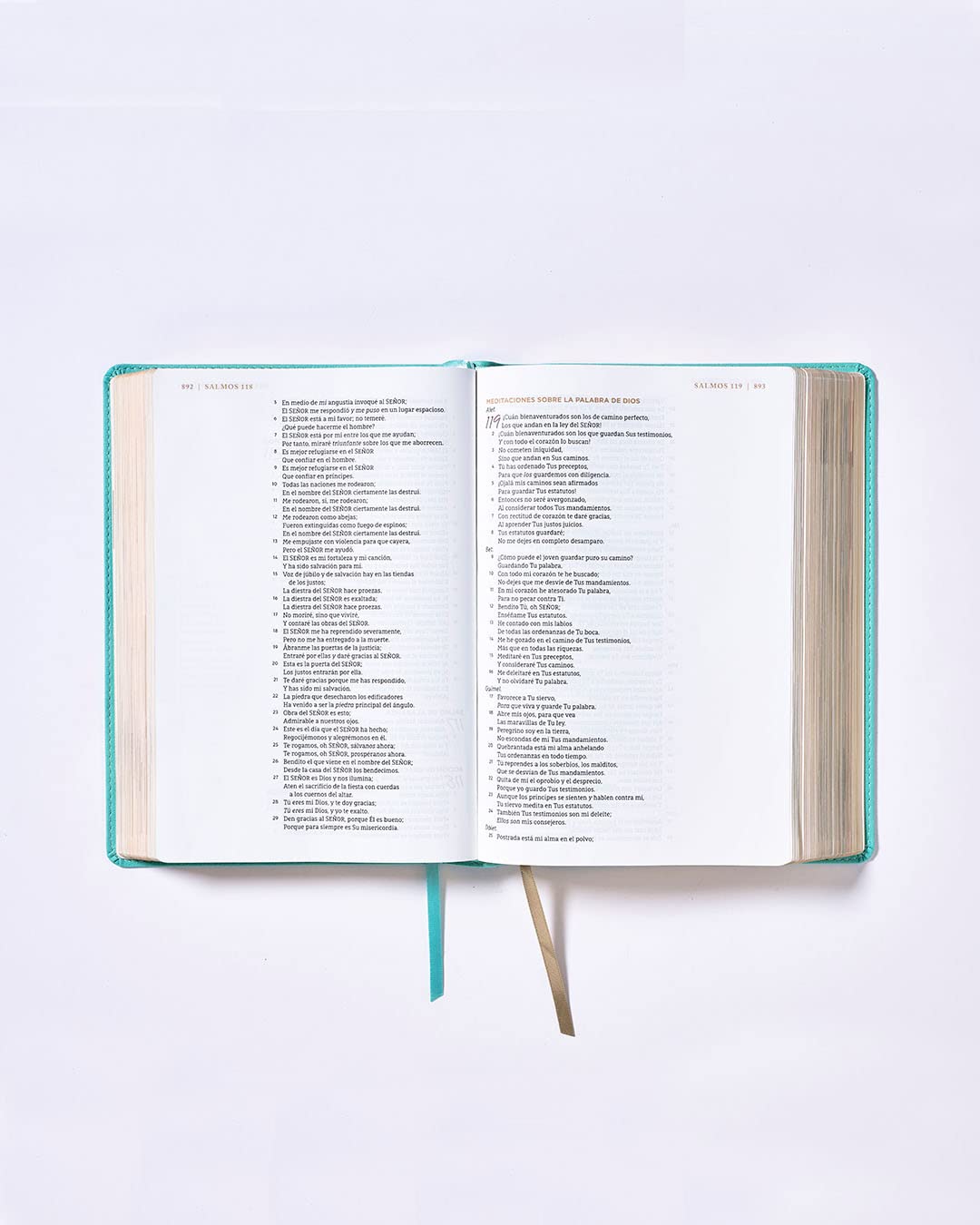 Biblia NBLA Ama a Dios grandemente turquesa