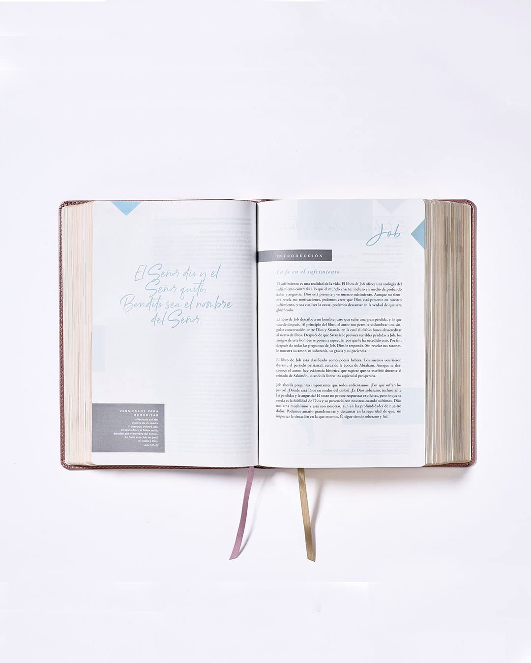 Biblia NBLA Ama a Dios grandemente Oro rosa