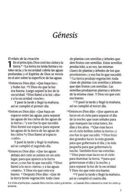 Biblia NTV Edicion compacta carbon LG