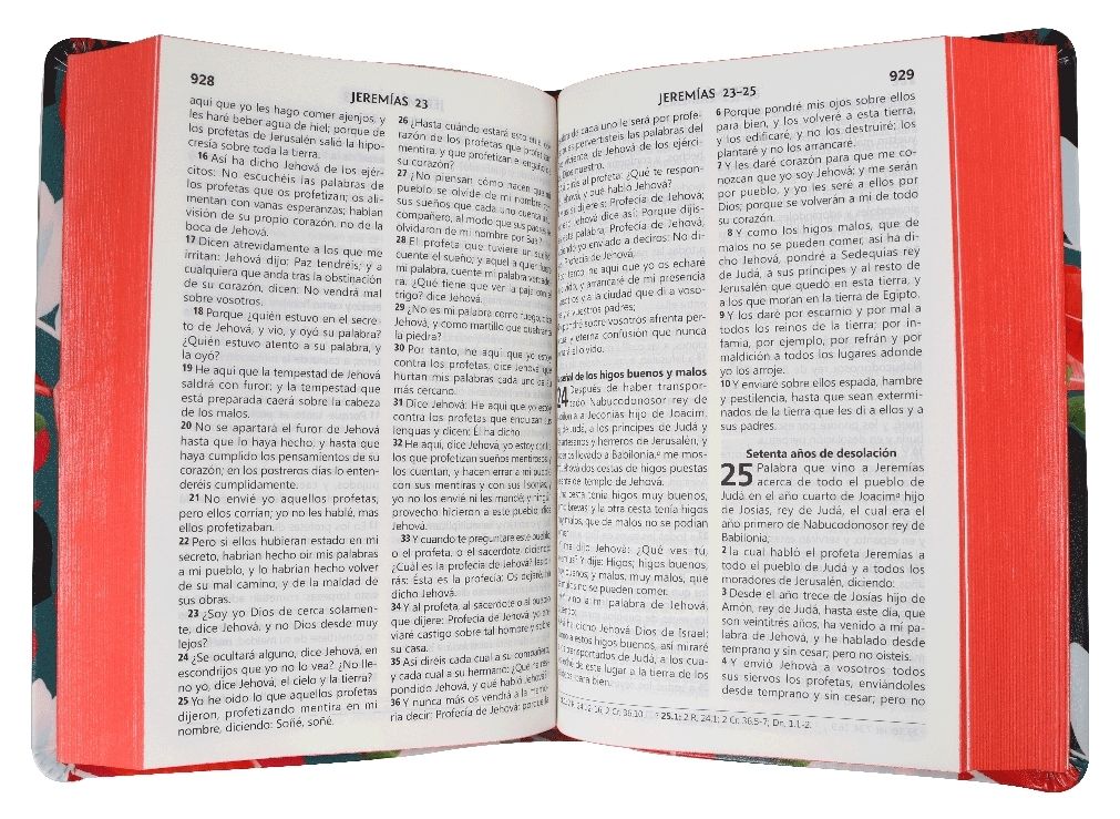 Biblia RVR60 mediana flores silvestres