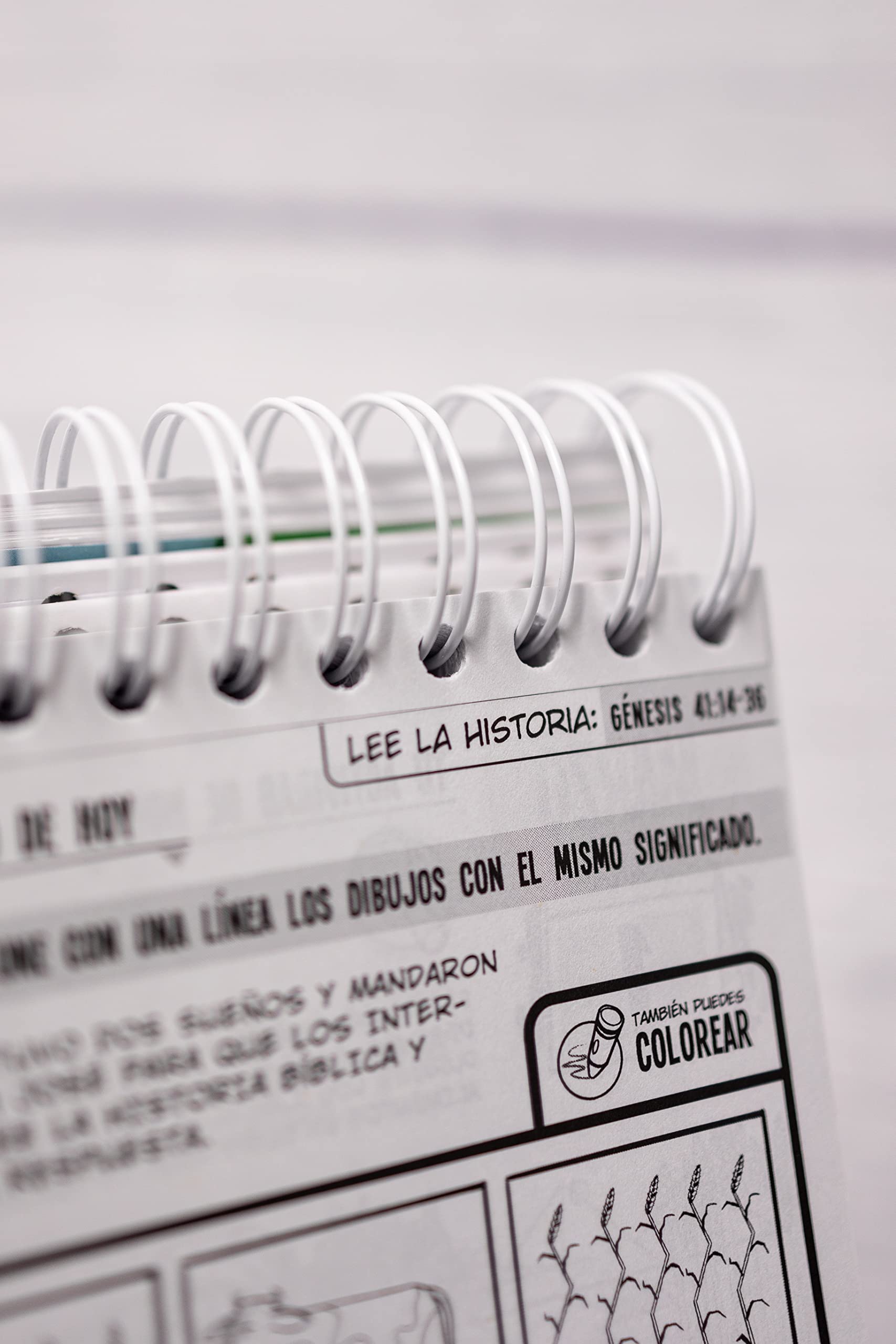365 Actividades para niños