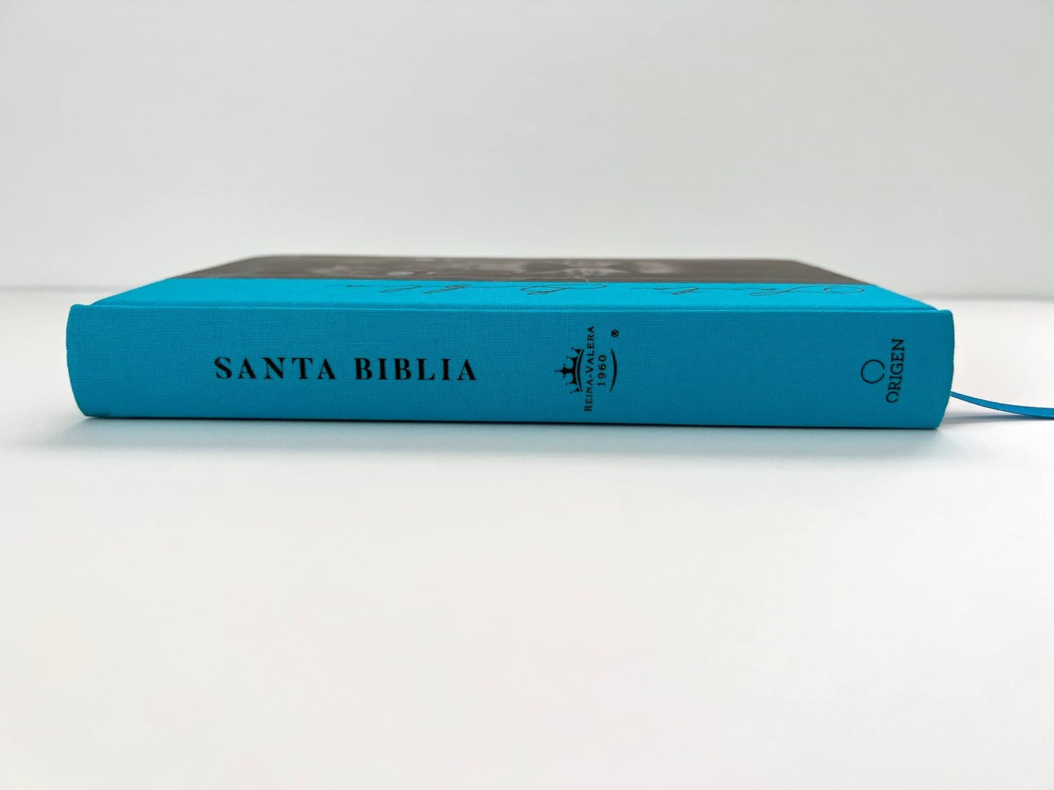 Biblia RVR1960 nombres de Dios leon de juda aguamarina