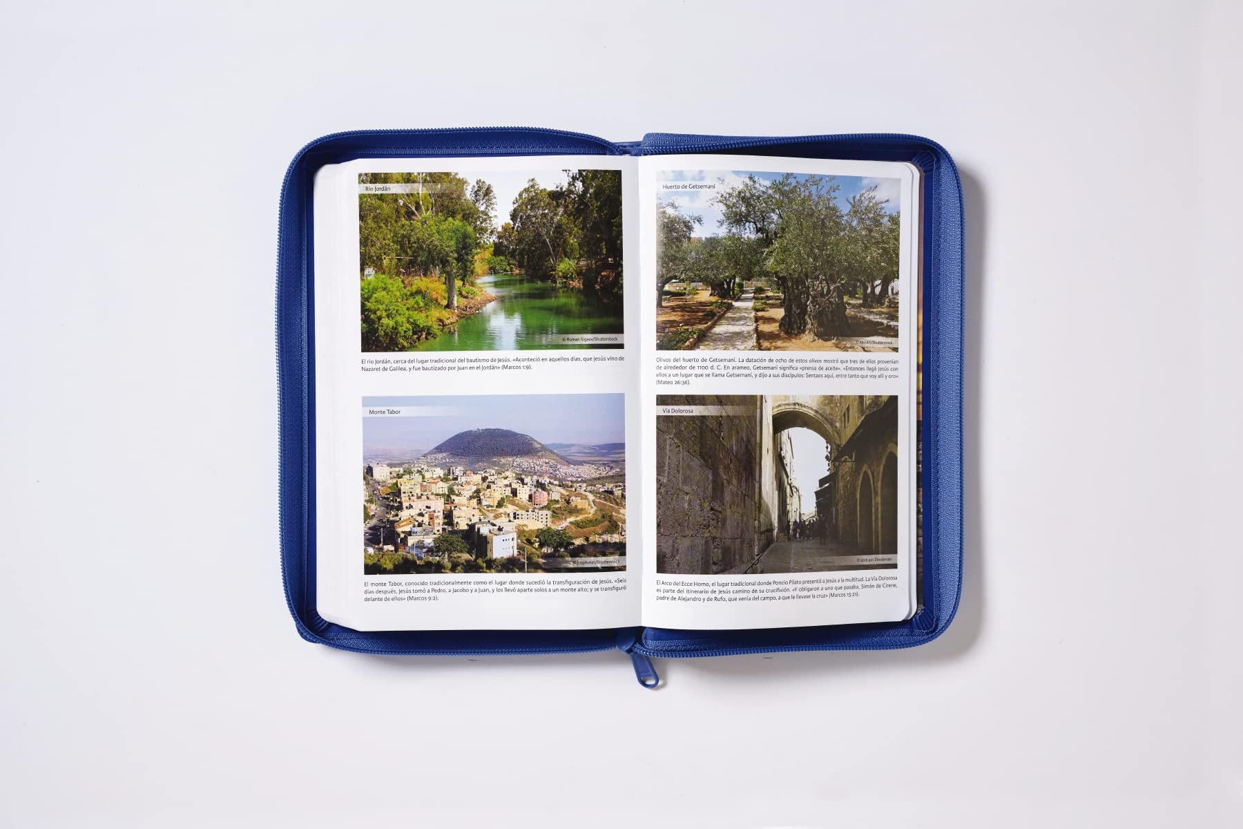 Biblia RVR60 Tierra Santa ultrafina Leathersoft Azul
