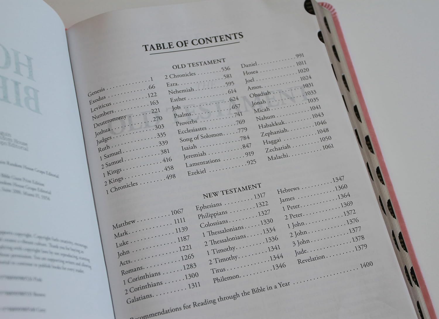 Bible KJV letra gigante rosa