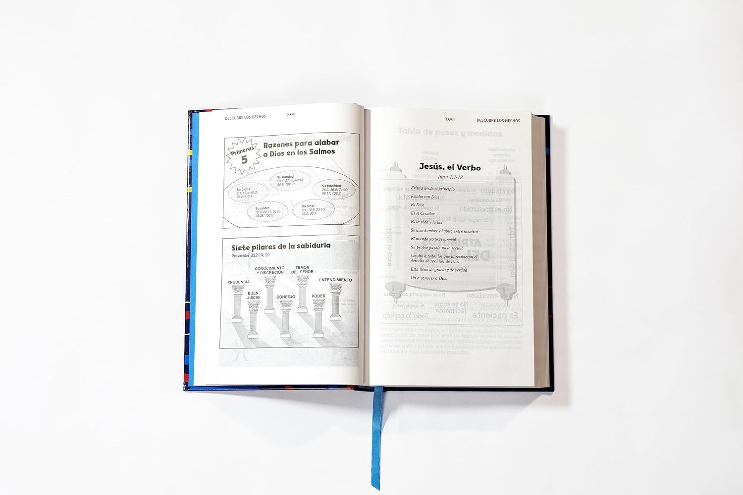 Biblia NVI 2022 para niños texto revisado