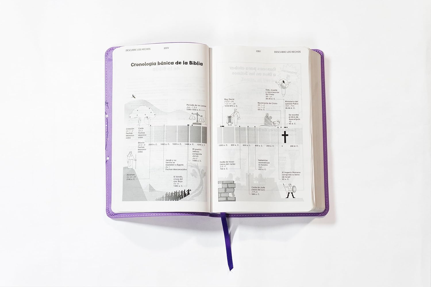 Biblia NVI 2022 para niños texto revisado leathersoft Lavanda