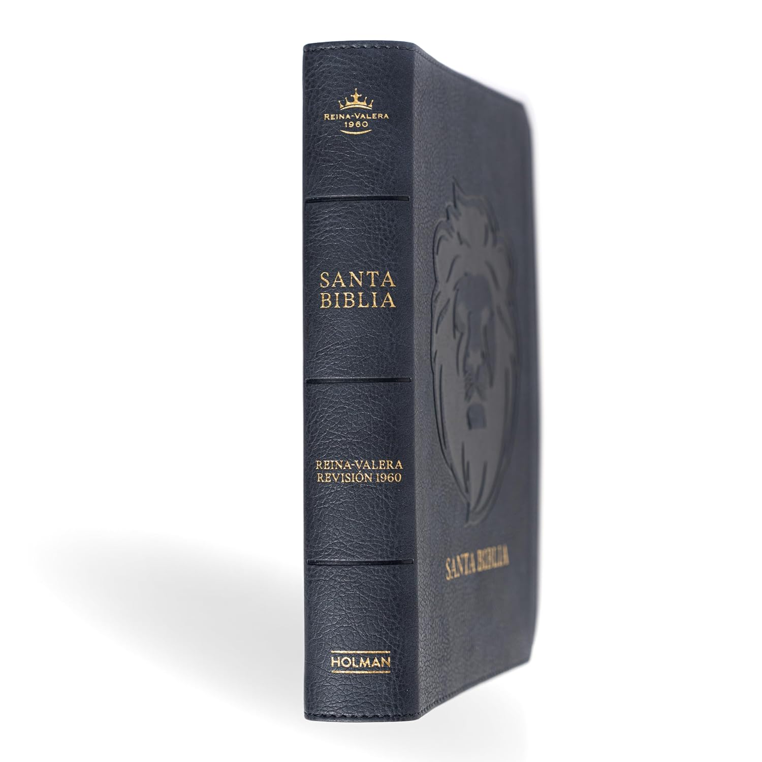 Biblia RVR1960 letra grande  ceniza leon