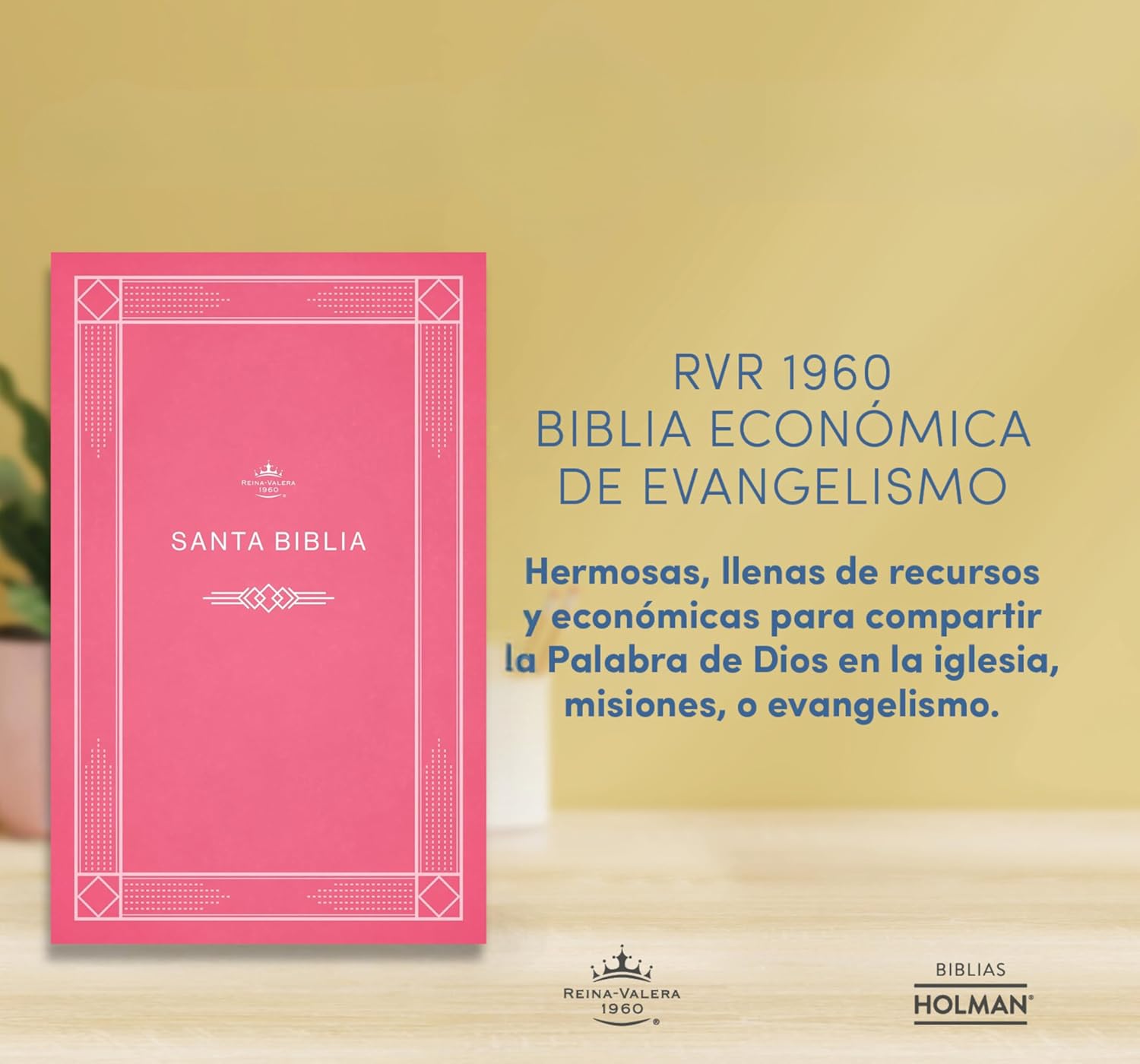 B. RV1960 economica de evangelismo rosa