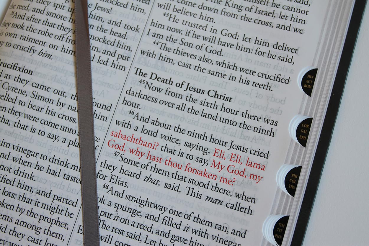 Bible KJV letra gigante gris