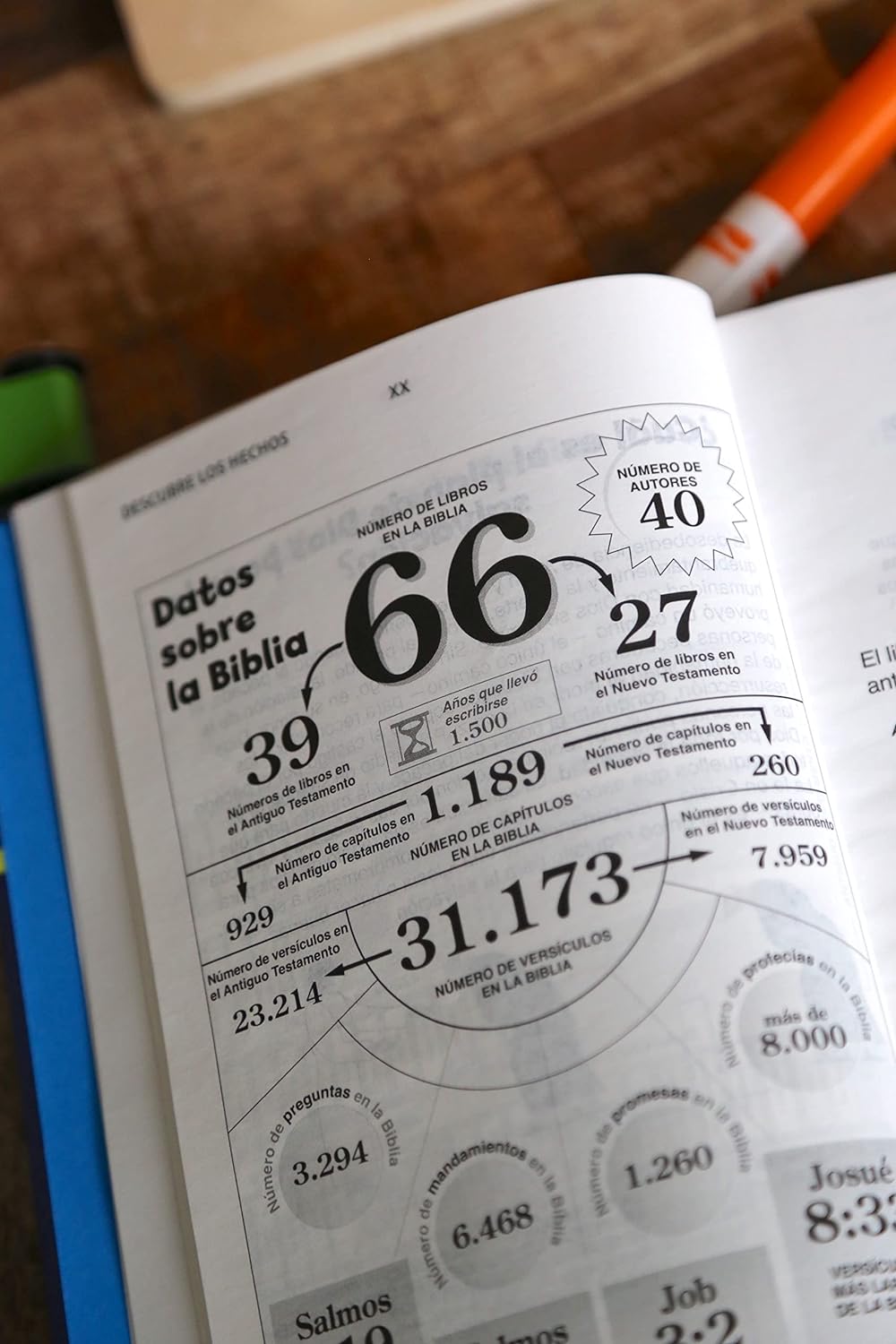 Biblia NVI 2022 para niños texto revisado leathersoft Lavanda