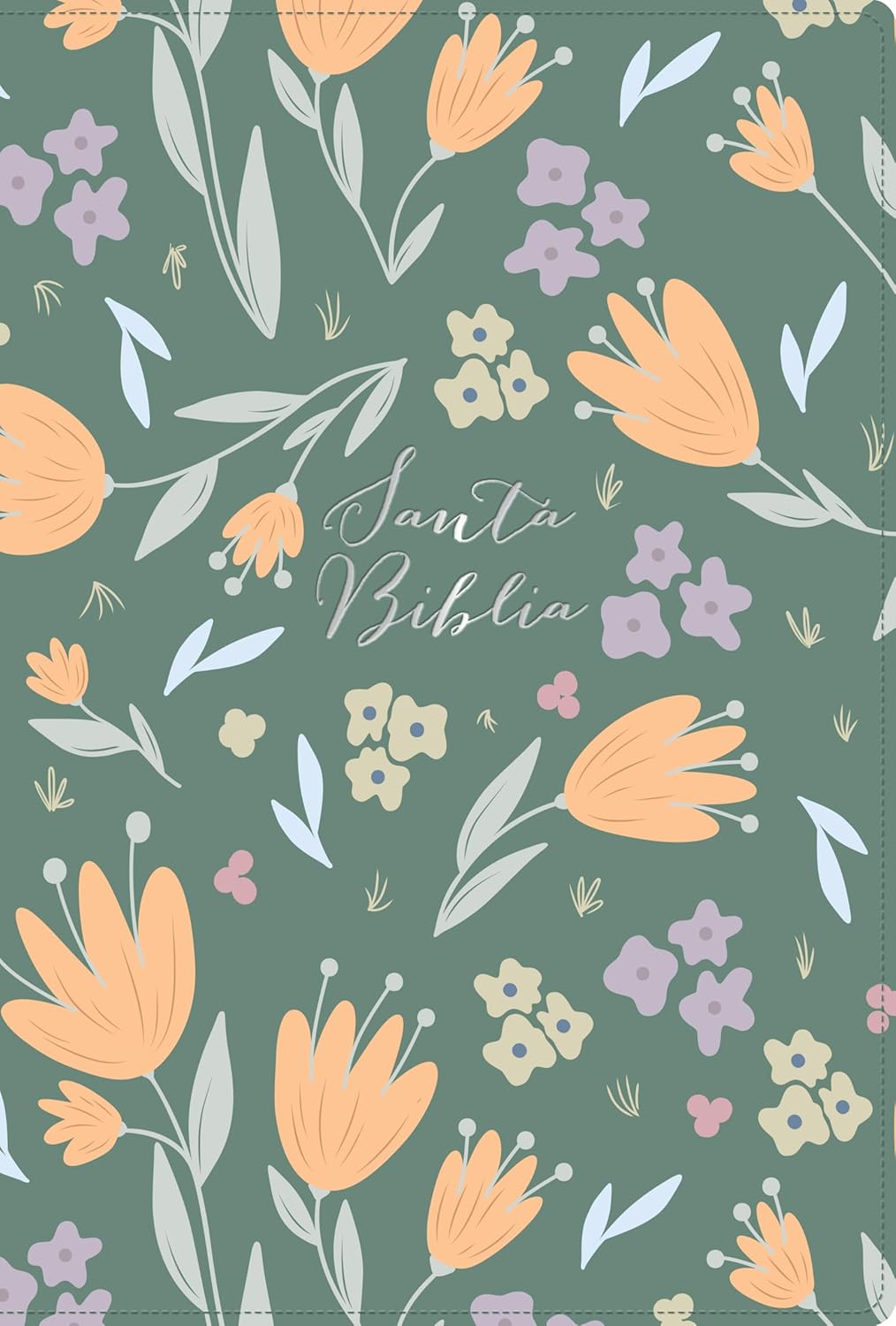 Biblia RVR1960 letra grande verde