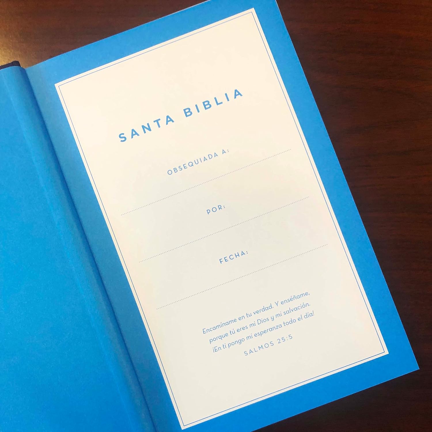 Biblia NVI 2022 para niños texto revisado