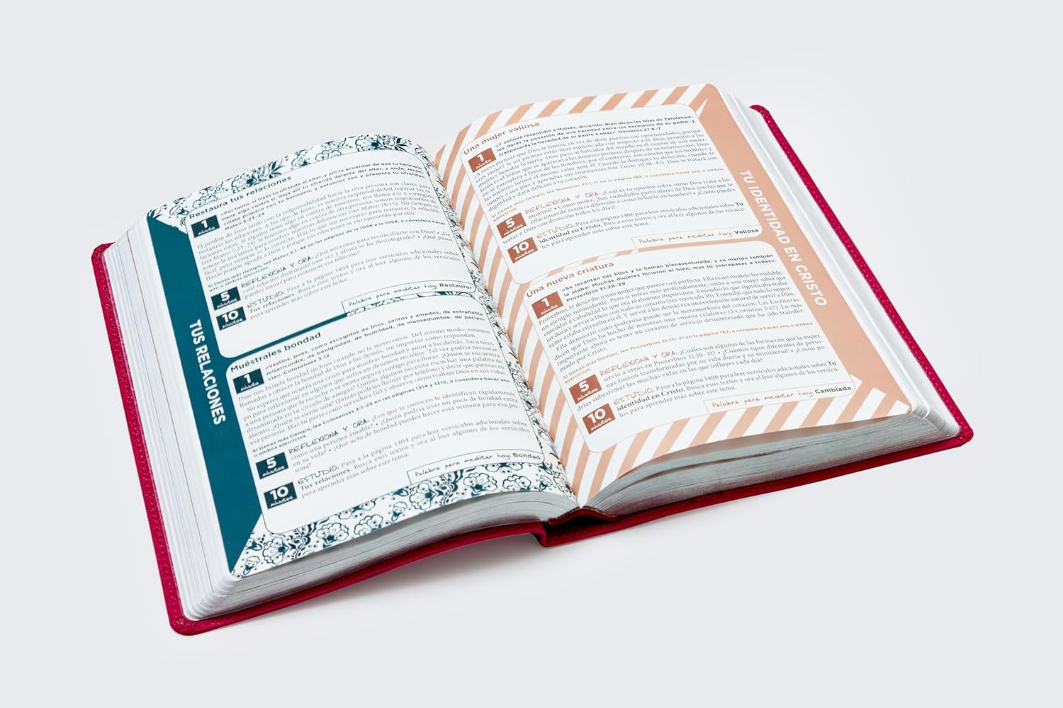 Biblia RVR1960 de la Mama Ocupada magenta
