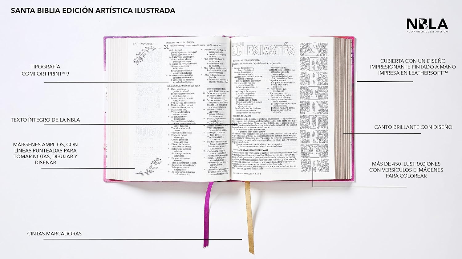Biblia NBLA Edicion Artistica Ilustrada rosa TD