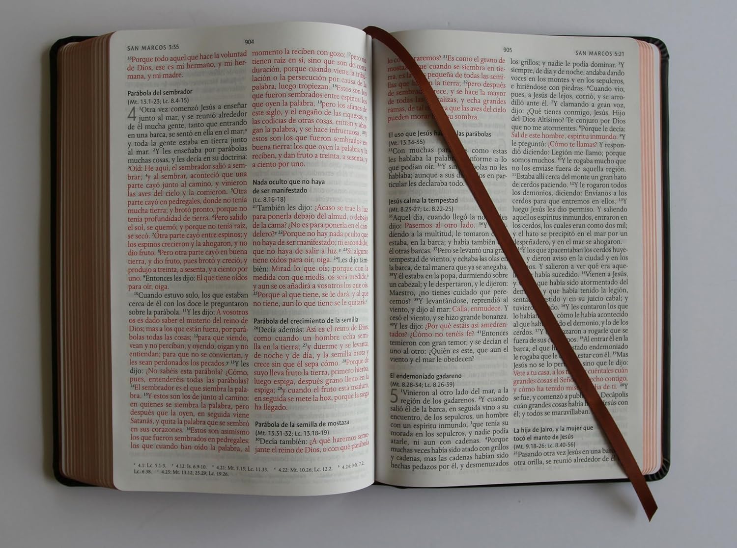 Biblia león RVR60 Bronce