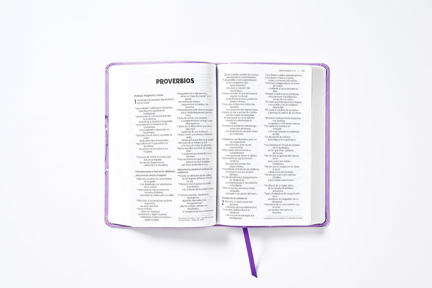 Biblia NVI 2022 para niños texto revisado leathersoft Lavanda